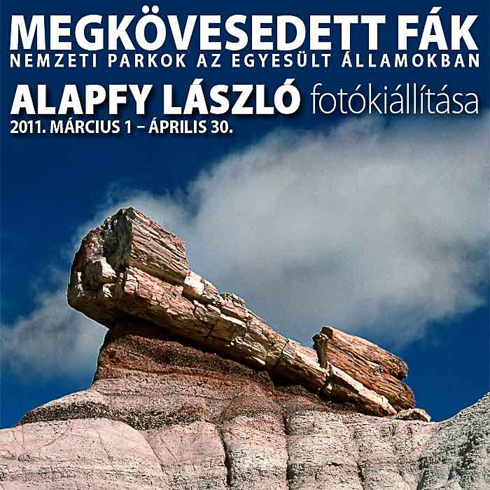 Megkövesedettek – fotókiállítás